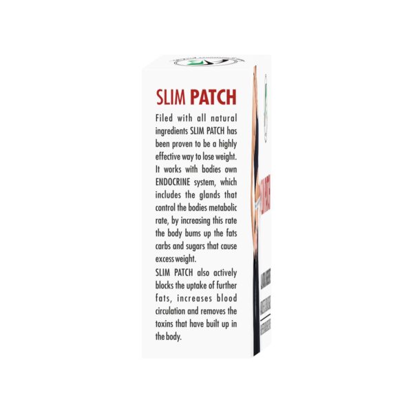 SLIM PATCH - Image 2