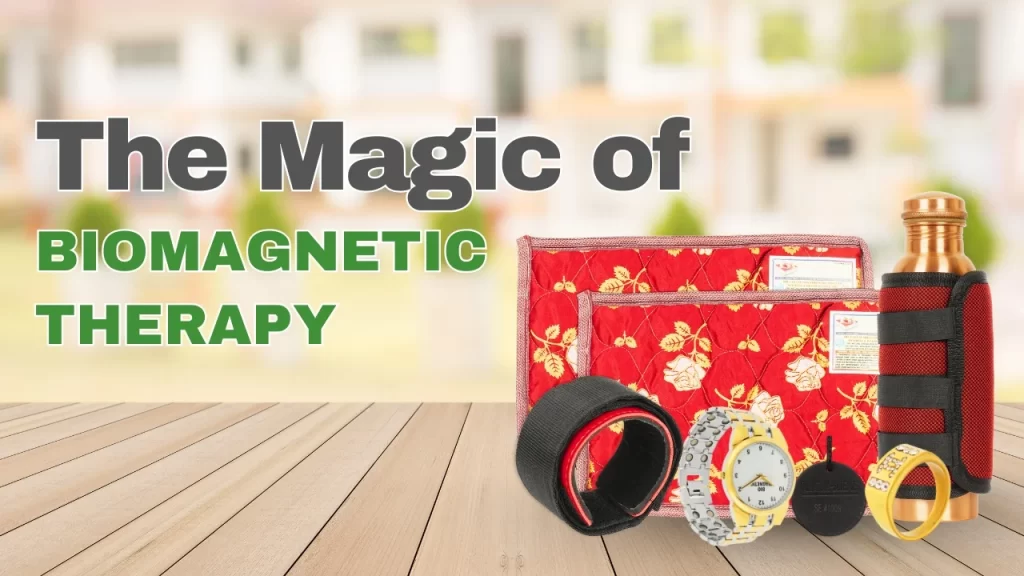 Biomagnetism - Akshay Enterprises